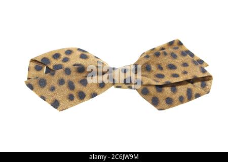 Leopard skin colors bow-tie decoration isolated on white background. Stock Photo