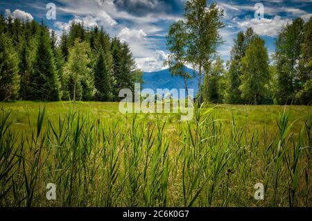 DE - BAVARIA: Loisach Moor between Bichl and Benediktbeuern Stock Photo