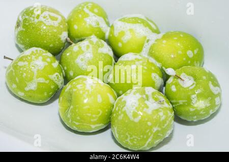 Washing fruit. Soapy green apples in the sink.  Stock Photo