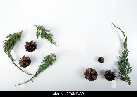 Juniper twigs and pinecones grouped in two arrangements on white surface. Horizontal high angle view. Copy space in the center and in the upper part o Stock Photo