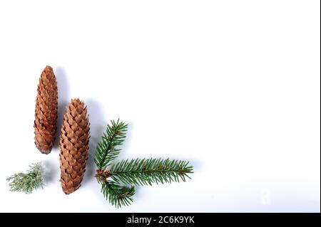 Two spruce cones, spruce twig and small piece of lichen.  Horizontal shot from high angle on white surface. Copy space in right part of photo. Stock Photo