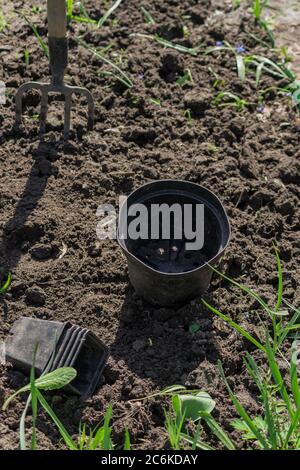 empty plastic flower pots on the ground Stock Photo
