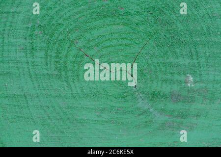 green painted tree trunk background texture Stock Photo
