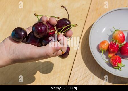 childs hand holding heap of cherry over white plate with strawberry Stock Photo
