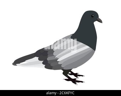 Dove vector image isolated on white background. Vector Illustration. EPS10 Stock Vector