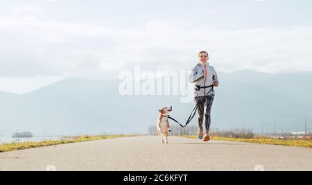 Bright sunny Morning Canicross exercises. Female runs with his beagle dog and happy smiling. Stock Photo