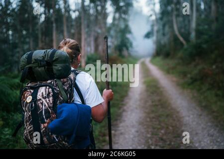 Way of Saint James pilgrim backpacker female going by the path through Eucalyptus forest back view image shoot. Stock Photo
