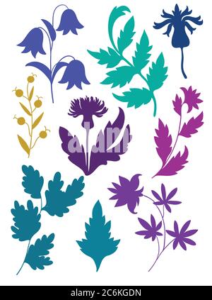 Set of floral and plants silhouette. Vector illustration. Stock Vector