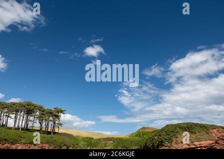 Landscape photo of the Otter estuary in Budleigh Salterton in Devon Stock Photo