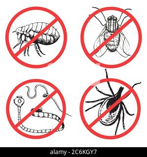 Set of ink drawn pests, worm, fly, flea, mite. Vector illustration.  Stock Vector