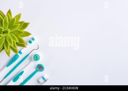 Dental equipment over white surface with green plant in soft focus Stock Photo