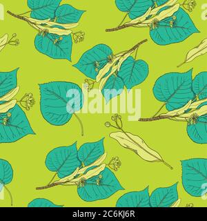 Seamless pattern with linden flowers and leaves. Vector background. Stock Vector