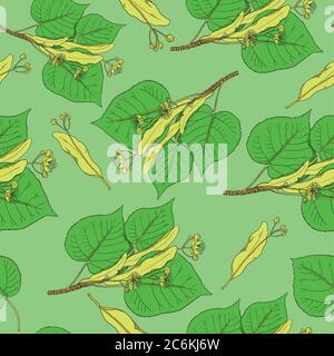 Seamless pattern with linden flowers and leaves. Vector background. Stock Vector