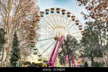 Ferris Wheel surrounded by trees inside an amusement park Stock Photo