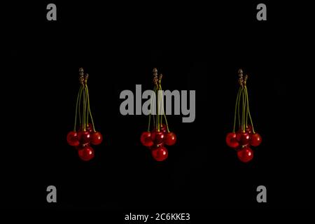 Close up shot of red shiny ripe cherry bunch isolated on black background with copy space for text Stock Photo