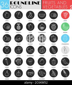 Vector fruits and vegetables circle white black icon set. Modern line black icon design for web Stock Vector