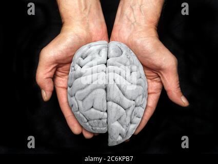 Verybrain