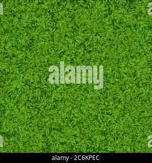 Natural realistic green grass texture background. Soccer grass top template Stock Vector