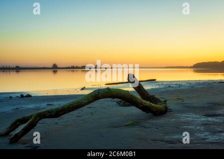 Piece of drift wood on shore of Coquille River in Bandon, Oregon during low tide at sunset.  Stock Photo
