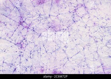 violet color painted paper backgound texture Stock Photo
