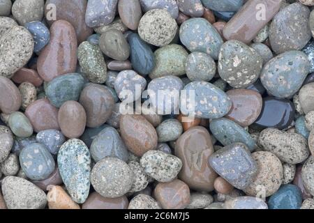 1 - Mottled and marbled stones and pebbles on a beach, wet from rain Stock Photo