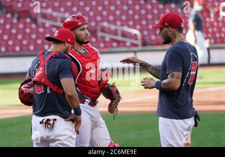 St. Louis Cardinals' Brayan Pena prepares to take batting practice during  spring training baseball practice Thursday, Feb. 18, 2016, in Jupiter, Fla.  (AP Photo/Jeff Roberson Stock Photo - Alamy