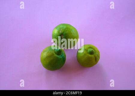 Isolated Palestinian sweet lime or Indian sweet lime or common sweet lime or Mexican Lima on a violet background Stock Photo