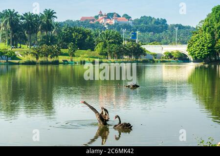 Taman Wetland Putrajaya comprises of a breathtaking view and tropical ...