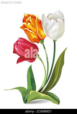 Elegant beautiful bouquet of tulips flowers, isolated on white background Stock Vector