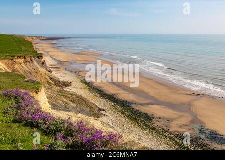 Pretty Spring Wild Flowers On The Cliff Edge Above Compton Bay On The Isle Of Wight Stock Photo Alamy