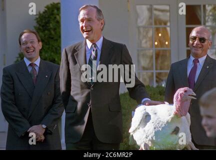 President Bush participates in the presentation and pardoning of the National Thanksgiving Turkey in the Rose Garden of the White House.  His grandson, Sam Leblond, pets the turkey during the ceremony. 14 November 1990 Stock Photo