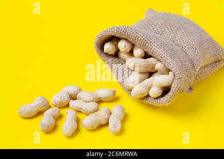 Burlap eco bag, sackcloth with unpeeled peanuts. Zero waste idea on yellow paper. Place for text Stock Photo
