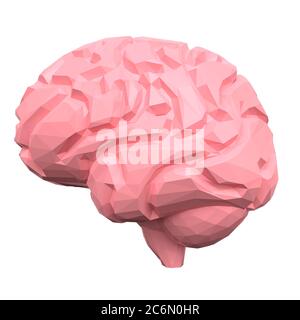 Low poly pink human brain isolated on white background. Side view. 3d rendering Stock Photo