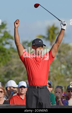 DORAL, FL - MARCH 10: Tiger Woods celebrates after his two-stroke victory during the final round of the World Golf Championships-Cadillac Championship at TPC Blue Monster at Doral on March 10, 2013 in Doral, Florida.  People:  Tiger Woods  Transmission Ref:  MNC5  Must call if interested Michael Storms Storms Media Group Inc. 305-632-3400 - Cell 305-513-5783 - Fax MikeStorm@aol.com Stock Photo