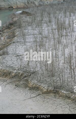 Great view of a completely dry natural area with cracks in the ground and many dead trees. Stock Photo