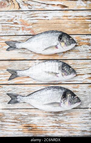 Set of raw whole dorada or Gilt head bream fish over white wood table top view. Stock Photo