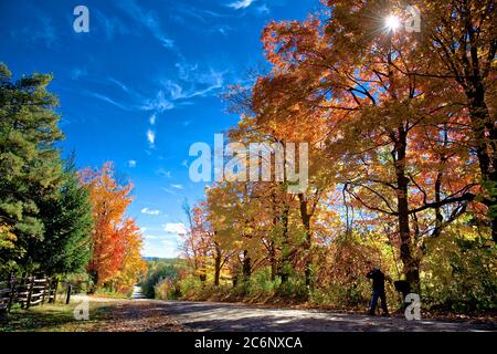 The photographer taking picture of the landscape of mountain road with autumn leaf color Stock Photo