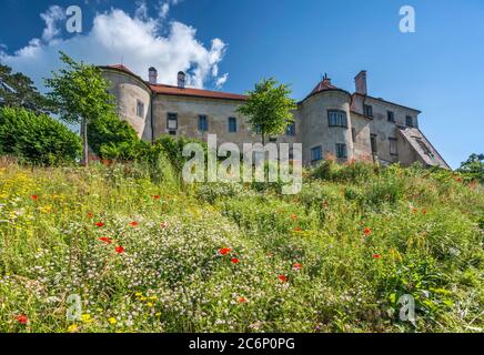 Grabstejn Castle, near town of Hradek nad Nisou, Bohemia, Liberec Region, Czech Republic Stock Photo