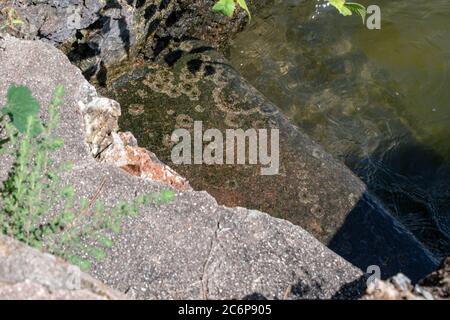 Cement steps lead into the lake waters in Oklahoma. Bokeh effect draws attention to the stepping stones. Stock Photo