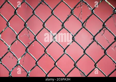 Metal mesh close-up on a red background. The texture of the metal grill closeup on a pink background Stock Photo