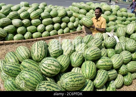 Happy farmer for her cultivated fruits when he collect from field. Stock Photo