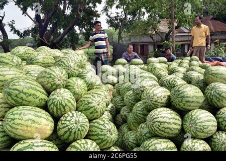 Happy farmer for her cultivated fruits when he collect from field. Stock Photo