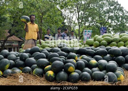 Happy farmer for her cultivated fruits when he collect from field. Stock Photo