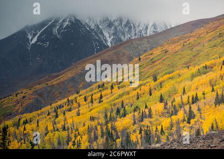 Autumn views along the Alaska Highway between Haines Junction and Haines, Alaska, in Kluane National Park and Reserve. Stock Photo
