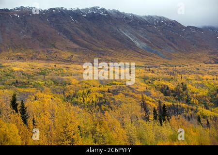 Autumn views along the Alaska Highway between Haines Junction and Haines, Alaska, in Kluane National Park and Reserve. Stock Photo