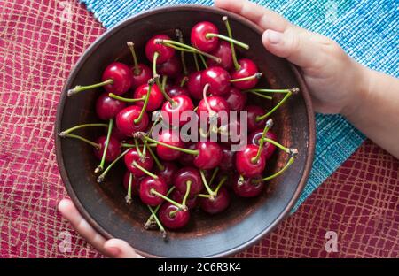 The hands of a five-year-old child hold a plate with fresh juicy red cherries. Ripe cherries on a dark clay plate, breakfast.  Flatlay photo Stock Photo