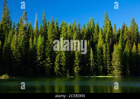 Jubilee Lake, Umatilla National Forest, Oregon Stock Photo - Alamy