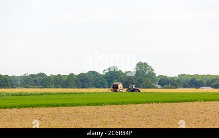 Farm Tractor in a field in East Hampton, NY Stock Photo