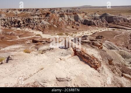 Otherworldly landscape in Petrified Forest National Park, Arizona Stock Photo