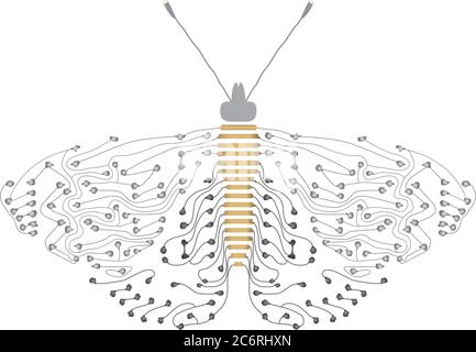 Grey / Silver / Black abstract butterfly / moth circuit image Stock Vector